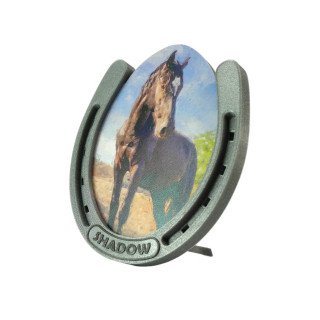 Horseshoe Frame in Sparky Silver