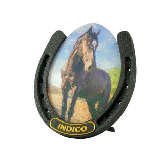 Horseshoe Frame in Sparky Black with Gold accent