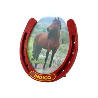Horseshoe Frame in Sparky Red