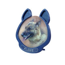 Sparky Blue Diog Keepee Frame